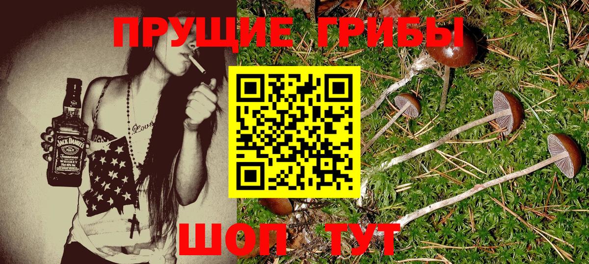 Звенигород  АМФЕТАМИН кристаллы  Cocaine  ГАШИШ  Меф кристаллы  Вход с VPN  Каннабис 