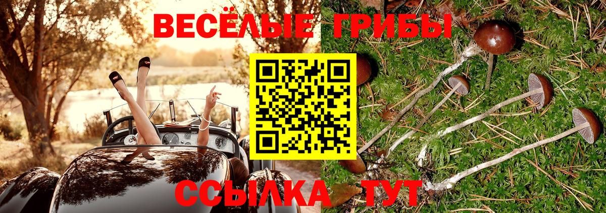 Звенигород  Галлюциногенные грибы Magic Shrooms  Вход с VPN 