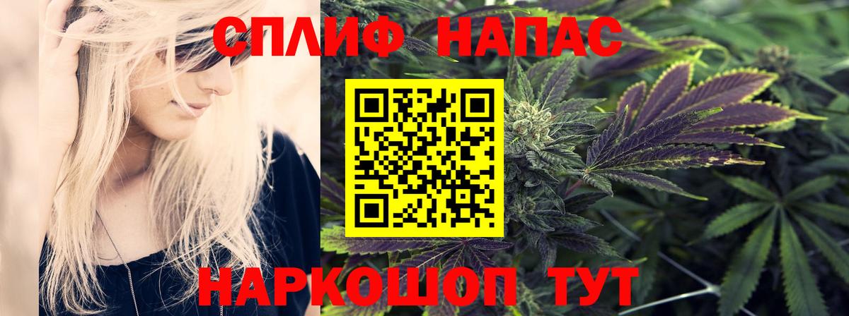 Шишки марихуана сатива Звенигород